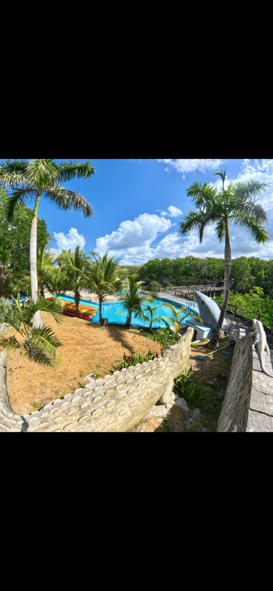 Vista panorámica del parque con palmeras y toboganes