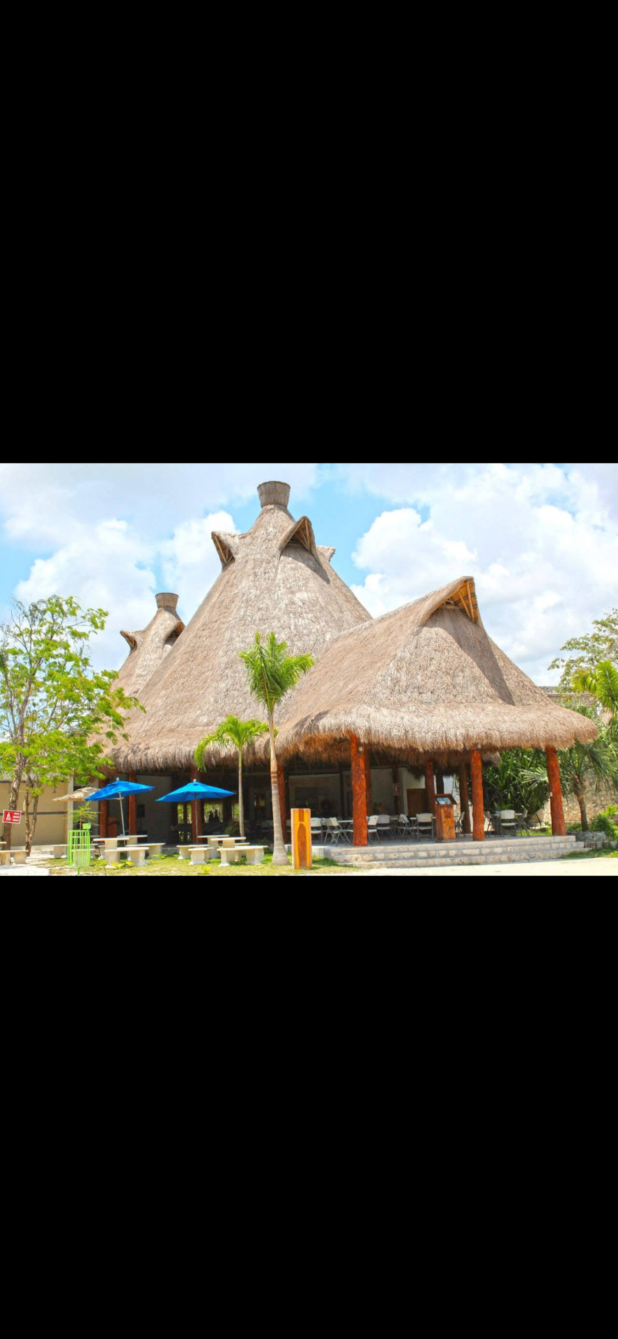 Palapas y restaurante con techo de palma